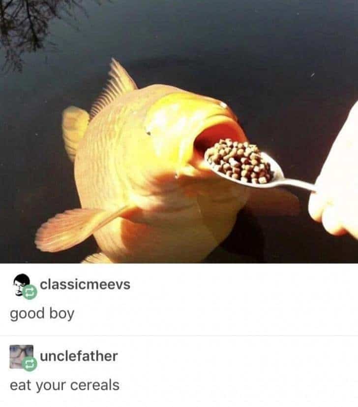 weird sea creatures meme showing a large orange koi fish emerging from a dark pond to politely eat dry fish pellets directly off a silver spoon, captioned like a mother gently telling a child to "eat your cereals".