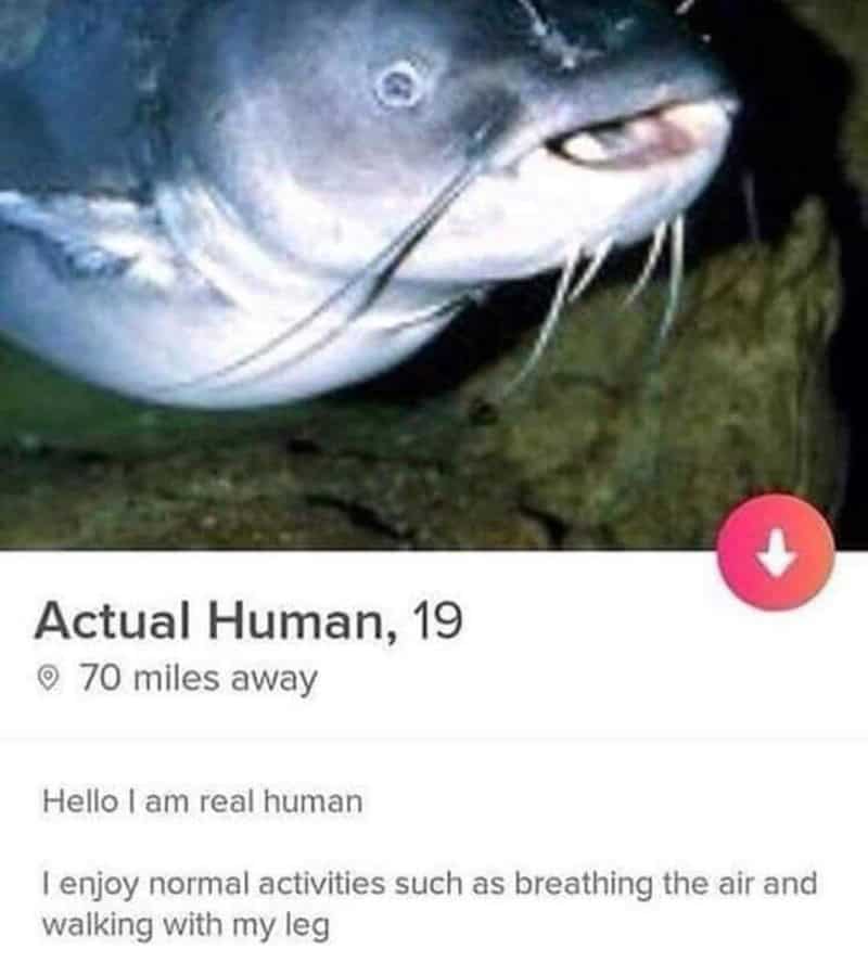 literal interpretation of an ocean meme featuring a Tinder profile for "Actual Human, 19," showing a close-up photo of a literal catfish with unsettling human teeth, claiming it enjoys normal activities like "walking with my leg".