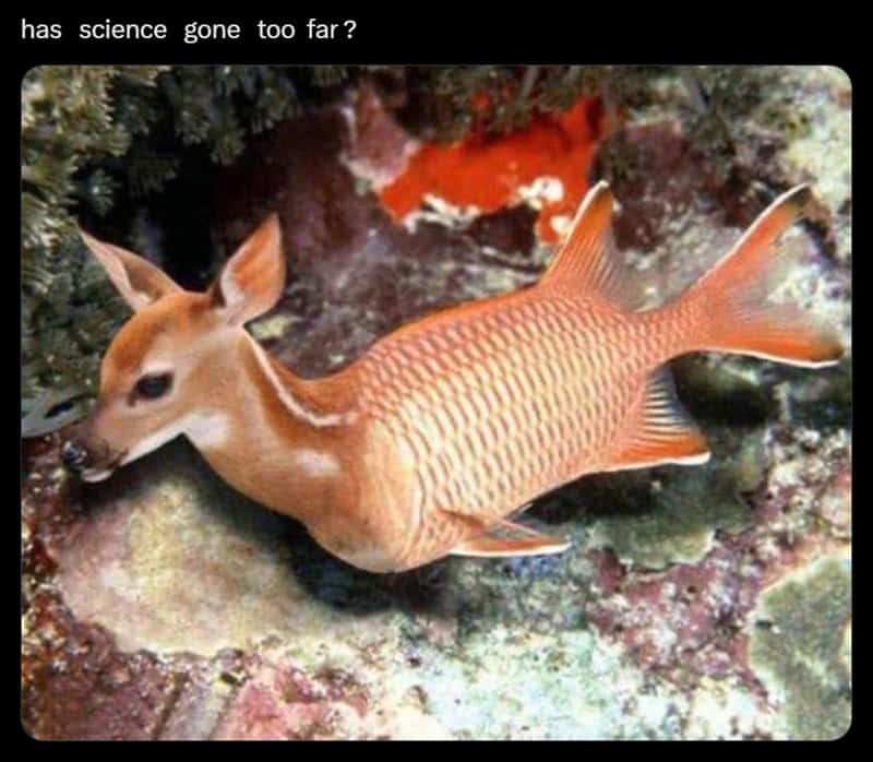 absurd ocean meme showing a terrible photoshop of a young deer's head seamlessly blended onto a scaly orange fish's body, floating peacefully underwater with the dramatic caption asking "has science gone too far?".