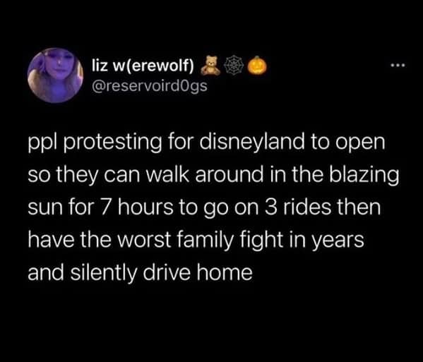 An oddly specific meme tweet by liz w(erewolf) describing the miserable reality of a high-pressure family trip to Disneyland: 7 hours of heat, only 3 rides, and a "worst-in-years" family fight during the silent drive home.