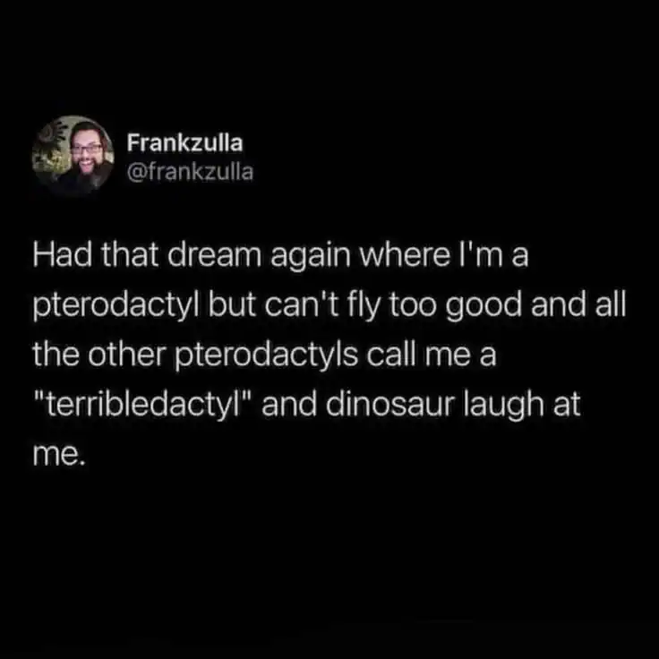 A dream description about being a pterodactyl called a "terribledactyl" by other dinosaurs.