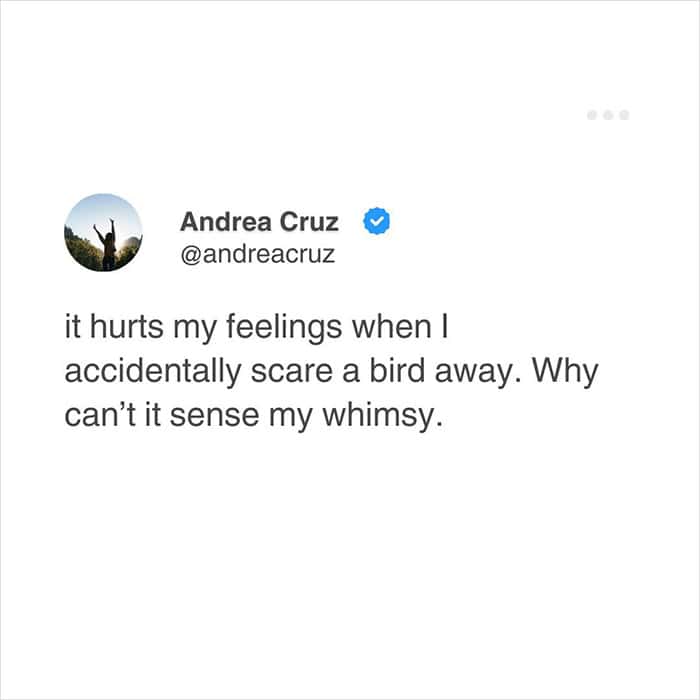 A deeply accurate relatable meme expressing genuine heartbreak over accidentally scaring a bird away instead of it magically sensing your inner Disney princess whimsy in these funny relatable tweets.