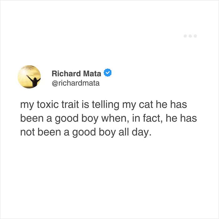 tweet where a pet owner confesses their toxic trait is telling their cat he has been a good boy when, in reality, he has been an absolute menace all day long.