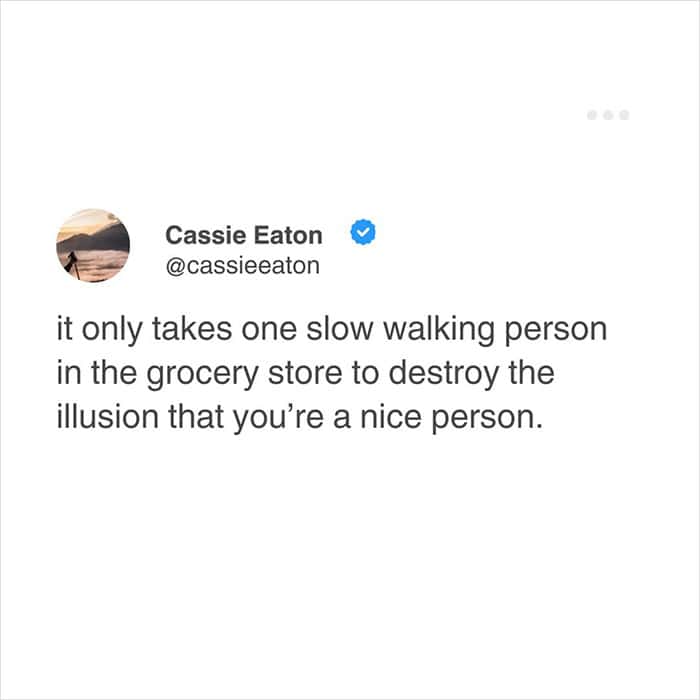A painfully true relatable meme confessing that the illusion of being a nice person is instantly shattered by getting stuck behind one slow-walking person in a grocery store, a must-have for funny relatable tweets.