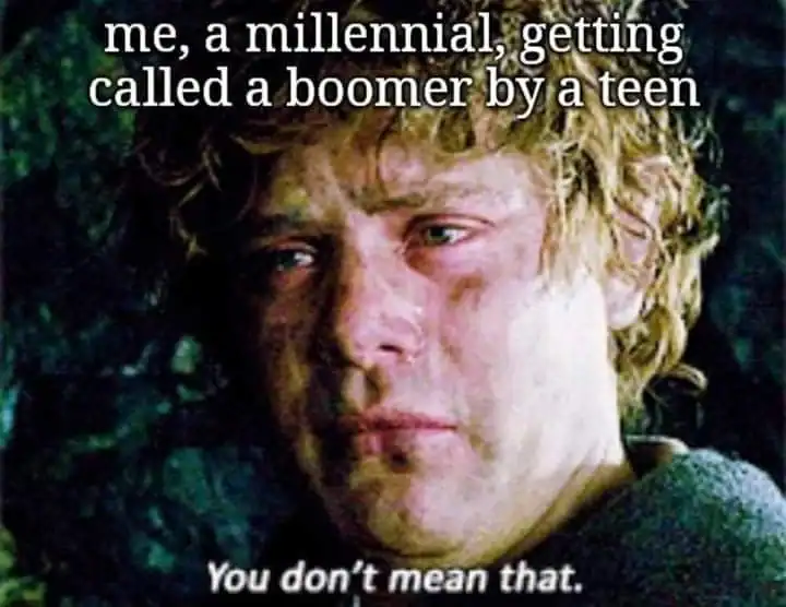 A tearful Samwise Gamgee representing a millennial’s reaction to being called a boomer by teens.