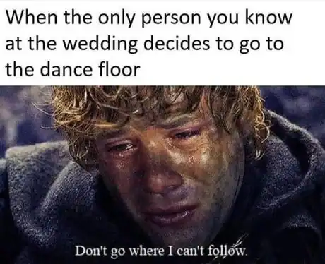 A crying Samwise Gamgee used as a relatable meme for being left alone at a wedding.