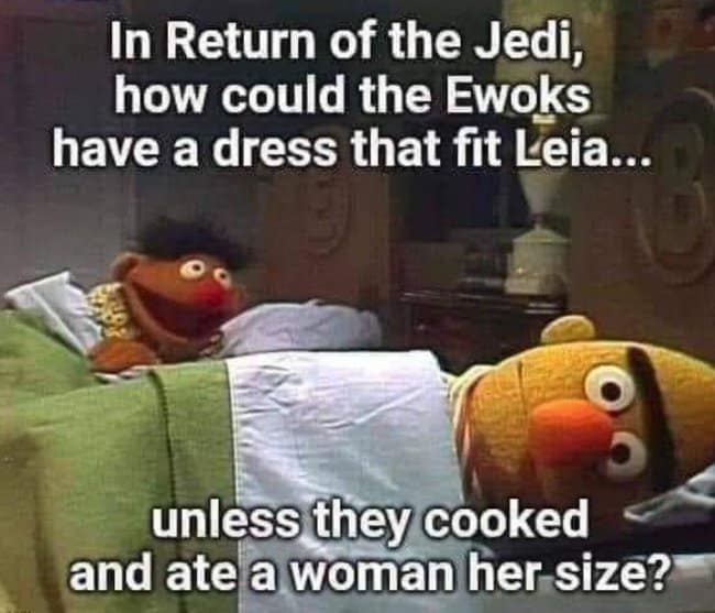 classic star wars meme using the Sesame Street format of Ernie and Bert in bed, deeply overthinking how the tiny Ewoks managed to have a perfect-sized dress for Princess Leia unless they cooked and ate a woman her size.