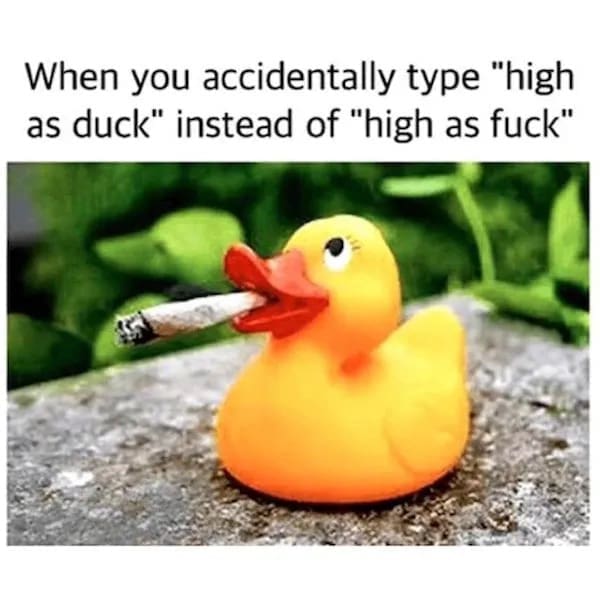 relatable stoner meme showing a cute yellow rubber duck with a lit joint in its beak, hilariously poking fun at the classic autocorrect fail of accidentally texting "high as duck" instead of the actual phrase in this funny weed meme