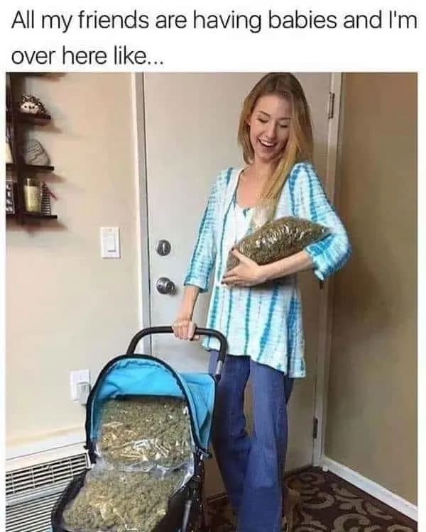hilarious and relatable stoner meme showing a beaming young woman proudly pushing a baby stroller completely stuffed with massive, industrial-sized bags of green, happily ignoring societal pressure to have kids in favor of her stash in this weed meme.