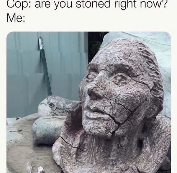 accurate stoner meme showing a weathered stone bust looking completely frozen and wide-eyed, perfectly capturing the sheer panic of trying to act normal when a cop asks if you are under the influence in this weed meme