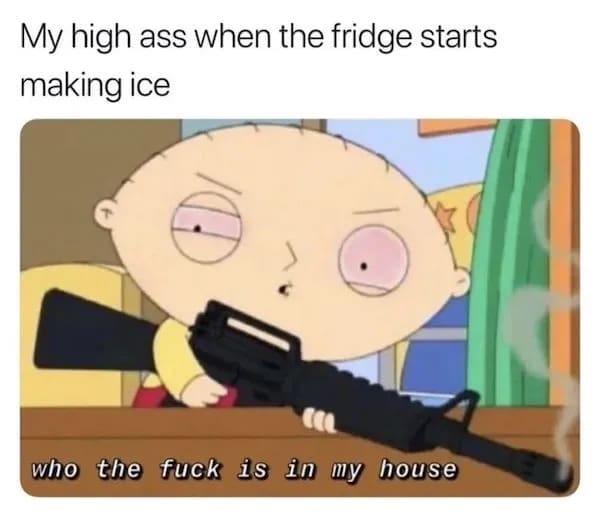 funny stoner meme using a heavily armed, paranoid Stewie Griffin from Family Guy to represent the sheer terror of hearing the fridge suddenly make ice in an otherwise quiet house in this classic weed meme.