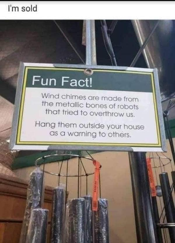 A "Skynet is real" store sign hanging above metallic wind chimes. The "Fun Fact" text claims they are made from the "metallic bones of robots that tried to overthrow us" and should be hung as a "warning to others."