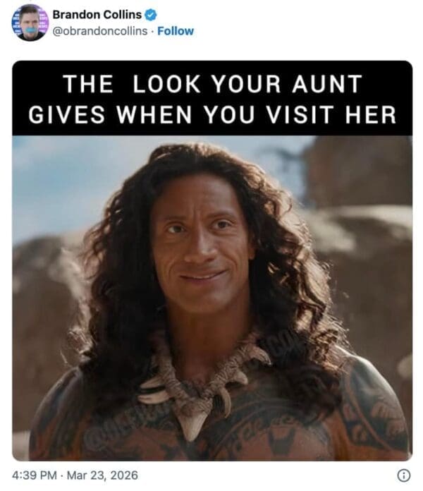 A relatable The Rock wig meme featuring a still of Maui with a slight, knowing smile. A text bar at the top reads: "THE LOOK YOUR AUNT GIVES WHEN YOU VISIT HER," turning the actor's soft expression and flowing hair into a universal family joke.