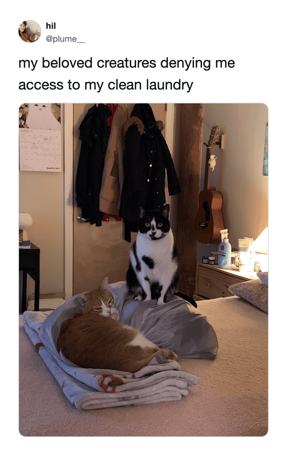 Orange tabby and tuxedo cat lounging on a pile of clean laundry on a bed.