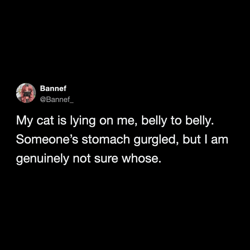 Relatable post about a cat lying belly to belly with their owner during stomach gurgles.