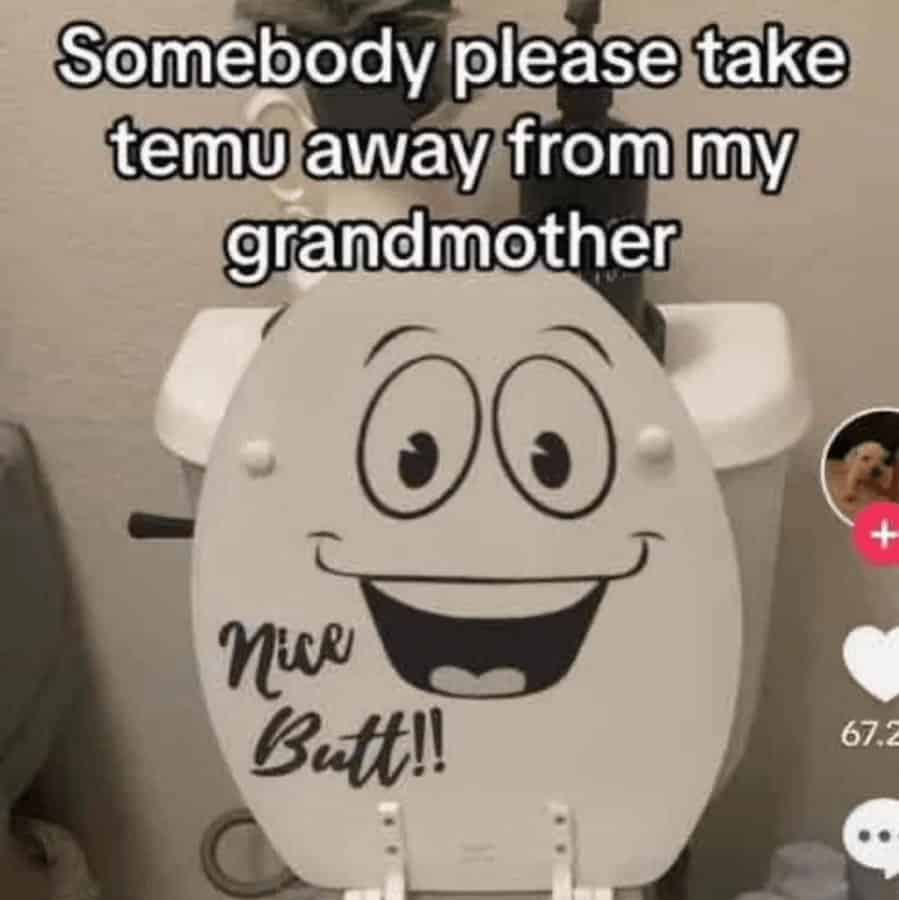 chaotic unhinged screenshot of a bathroom scene where a toilet lid has been decorated with a giant, wide-eyed smiley face decal and the words "Nice Butt!!" written in cursive. The caption pleads, "Somebody please take temu away from my grandmother."