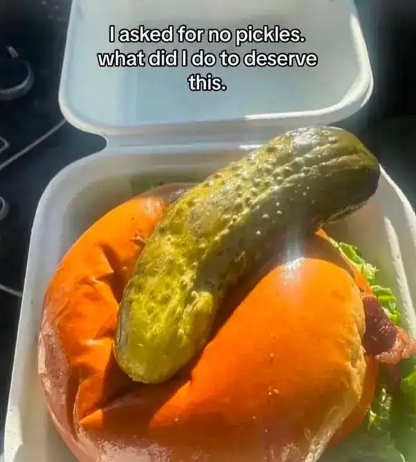A food-related unhinged screenshot showing a burger in a styrofoam container. Despite the user asking for "no pickles," a massive, whole jumbo pickle has been placed directly on top of the bun like a threat. The caption reads: "I asked for no pickles. what did I do to deserve this."