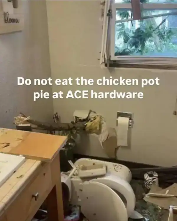 chaotic and potentially dangerous unhinged screenshot of a demolished bathroom. The toilet is shattered on the floor and the wall is ripped open, paired with the cryptic warning: "Do not eat the chicken pot pie at ACE hardware."