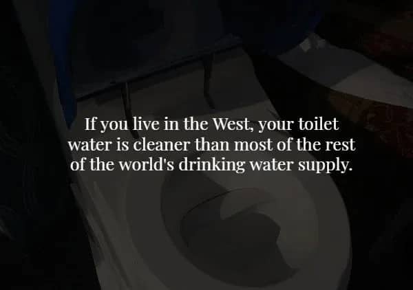 View looking into a toilet bowl with text comparing western toilet water to global drinking supplies.