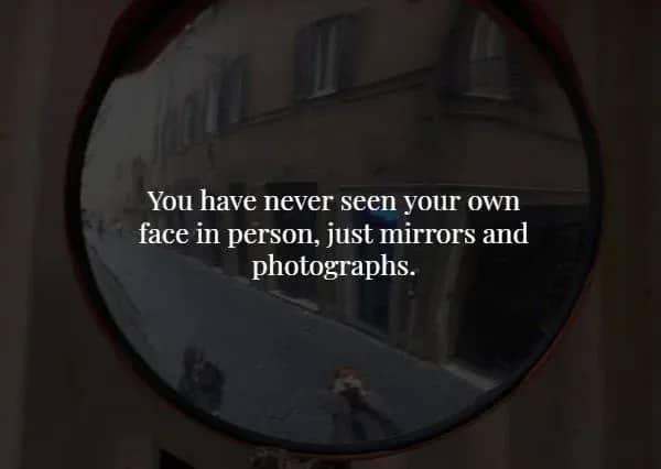 Reflection of a street in a convex mirror with text about never seeing your own face.