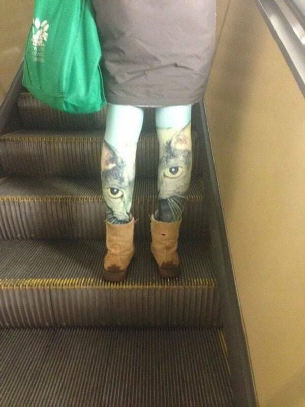An unsettling pair of leggings worn on an escalator, featuring hyper-realistic cat faces where the wide, staring eyes are positioned perfectly on the wearer’s calves.