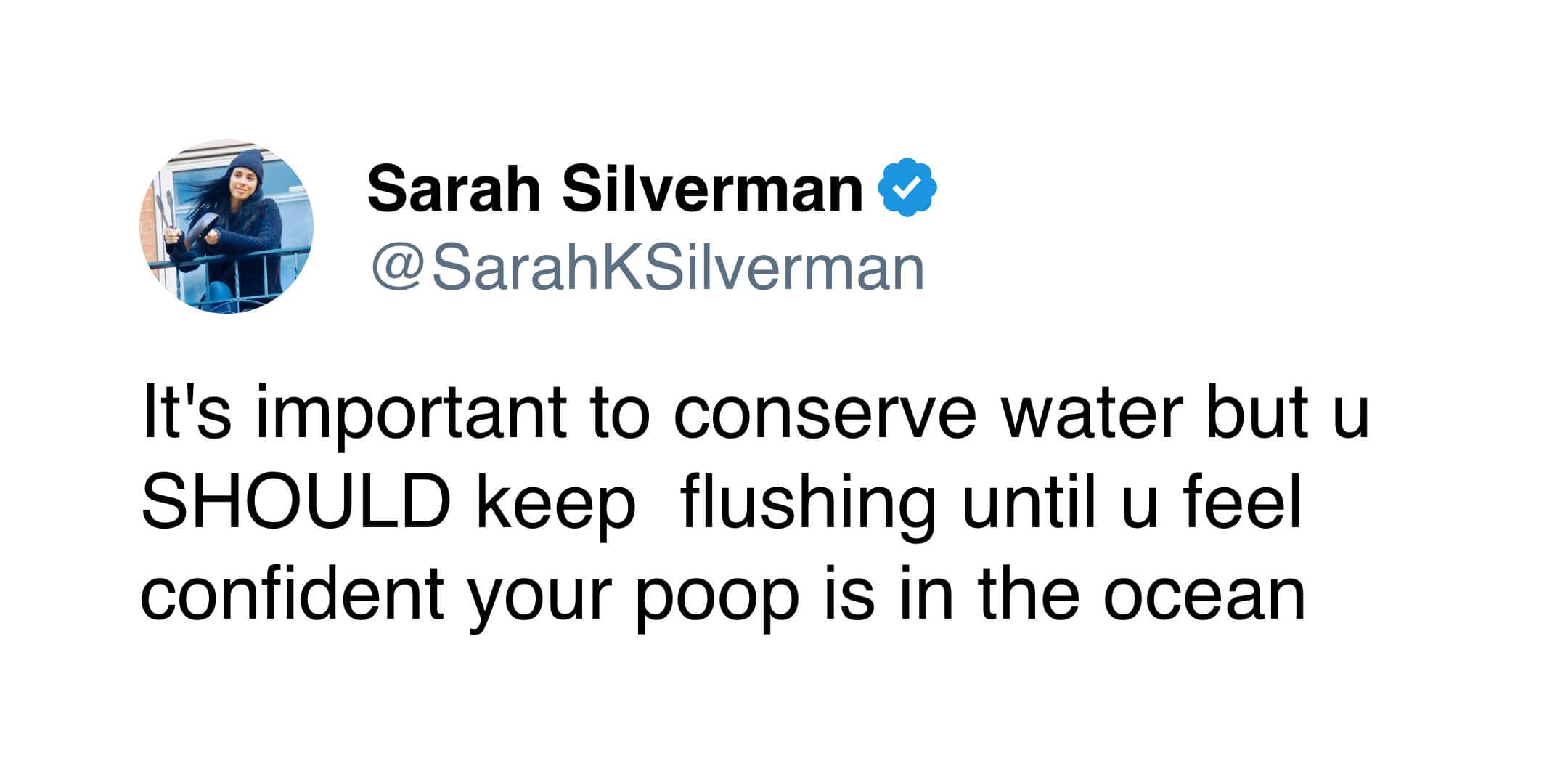 Sarah Silverman tweet jokingly advising to flush until you are confident your waste reached the ocean.