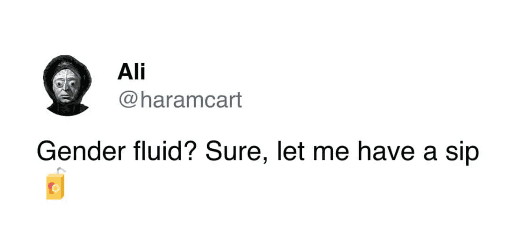 A short tweet by Ali making a literal pun about the phrase gender fluid with a juicebox.