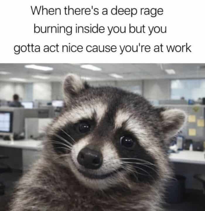 A wholesome animal meme showing a close-up of a raccoon with a polite but strained smile in an office setting. The text jokes about having to "act nice" at work despite a "deep rage burning inside."