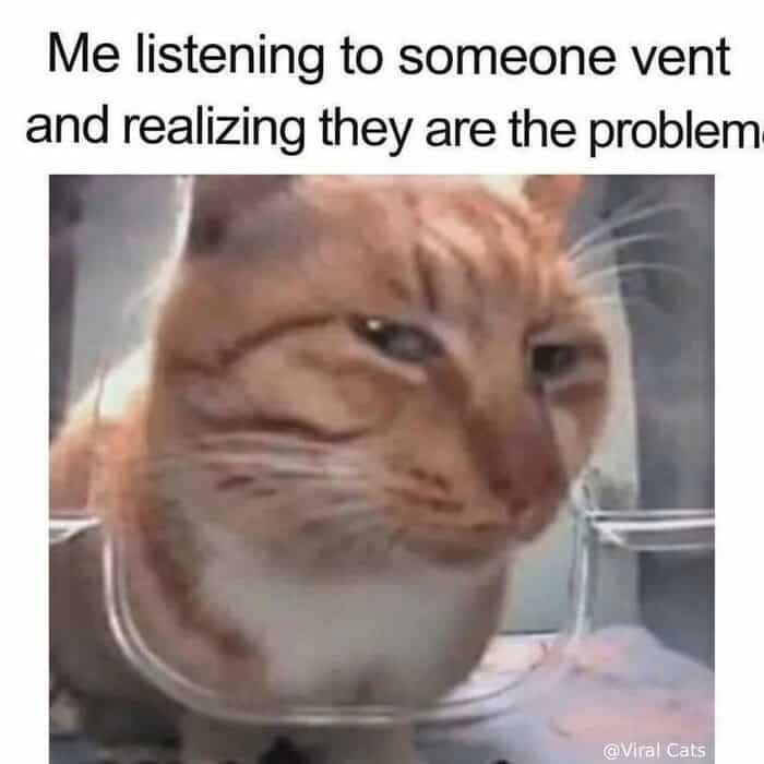 wholesome animal meme showing a cluster of small owls gathered on a floor, all looking up with wide, expectant eyes. The caption identifies them as "all my personalities" waiting to see who runs the show today.