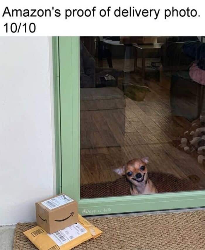 A wholesome animal meme featuring a brown dog looking at the camera with an unimpressed, heavy-lidded side-eye. The text asks if anyone else's dog "huffs" like they are "getting on their last nerve."