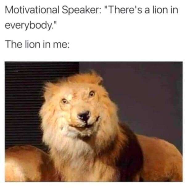 humorous wholesome animal meme featuring a hilariously bad taxidermy lion with a goofy, wide-eyed expression and a lopsided smile. The text sets the scene: "Motivational Speaker: 'There's a lion in everybody.' The lion in me:".