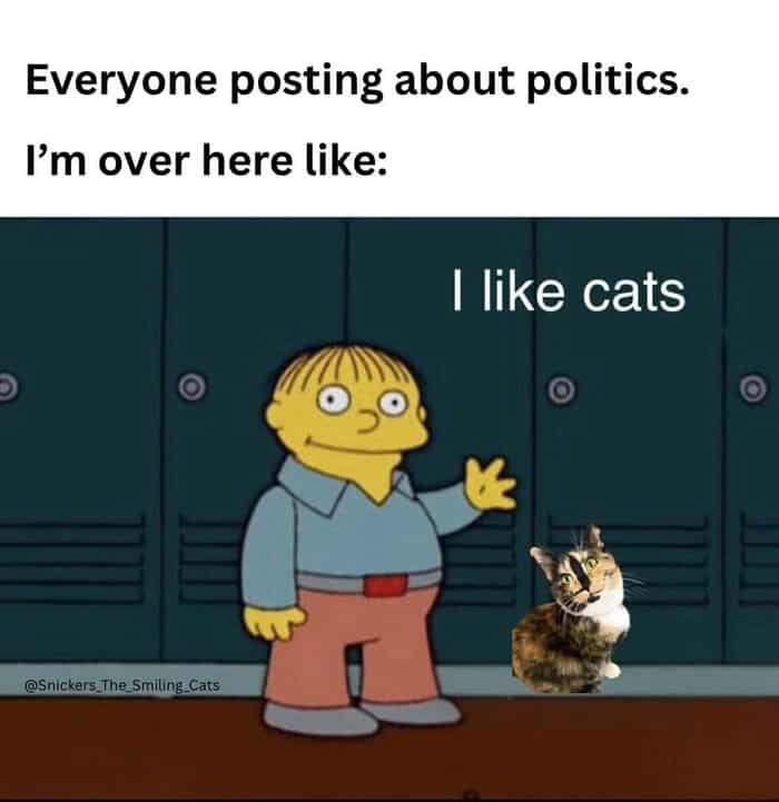 A wholesome animal meme featuring Ralph Wiggum from The Simpsons standing in front of school lockers. The caption reads: "Everyone posting about politics. I'm over here like: I like cats," with a small calico cat edited in next to him.