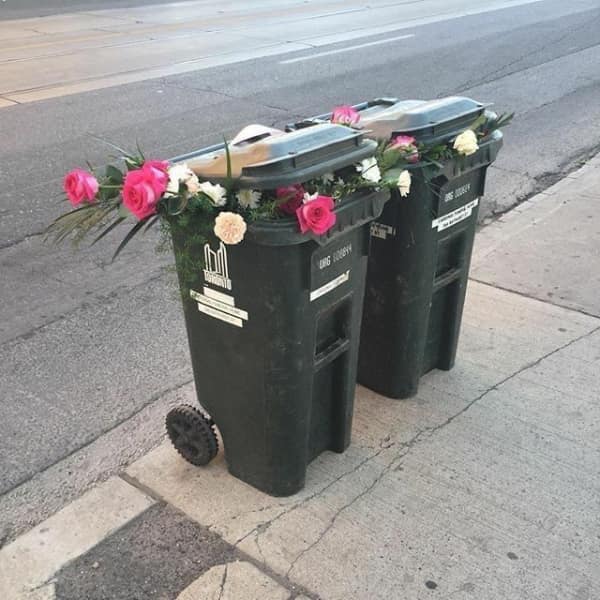 beautiful wholesome image of urban transformation where two gritty Toronto trash bins have been filled with vibrant pink roses and greenery, making a mundane sidewalk look like a floral art installation.