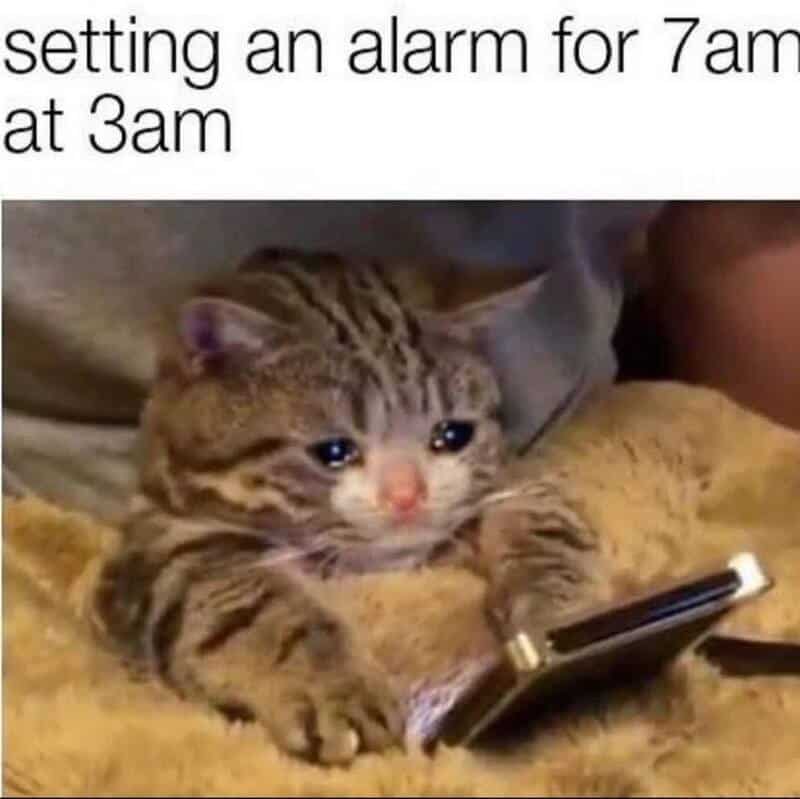 A heart-wrenching work meme featuring a teary-eyed tabby kitten clutching a smartphone in bed. The caption perfectly captures the pre-shift despair: "setting an alarm for 7am at 3am."