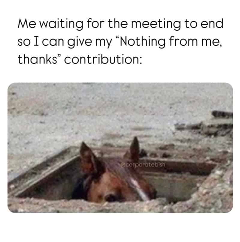 Capturing the silent exit strategy of every employee, this work meme shows a horse's head peeking out from a manhole. It represents that final moment of a meeting where you’re just waiting to say, "Nothing from me, thanks."