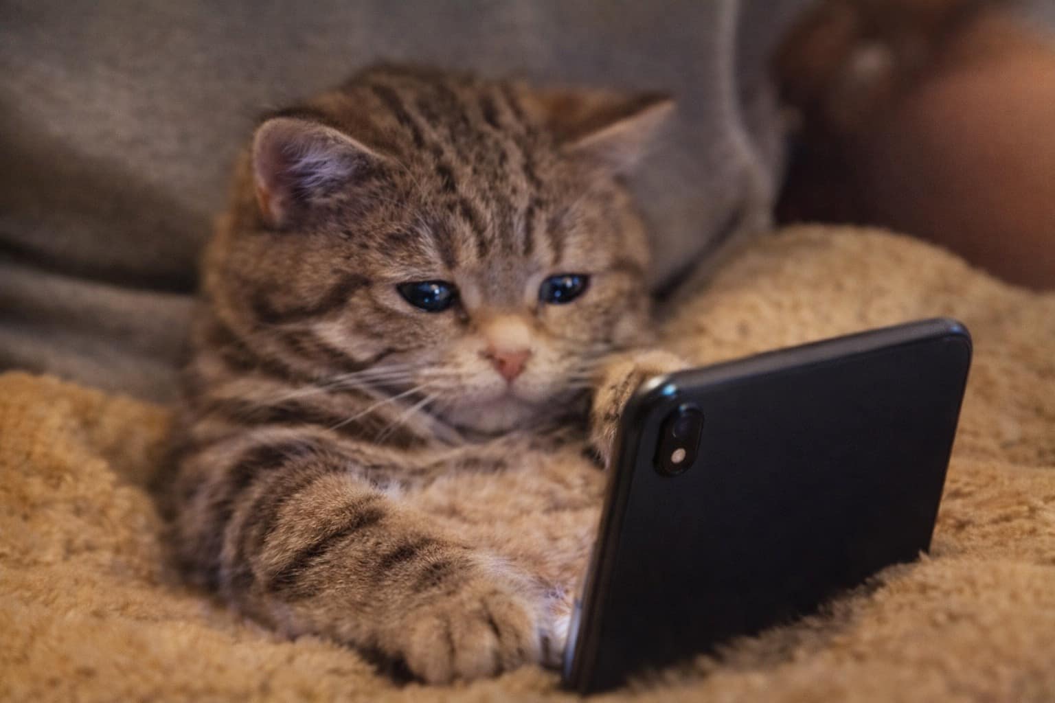 A work memes dump featuring a phone screen showing a "spoiled" 6:01 AM alarm, a car with a massive dent "repaired" with a tiny band-aid, and a person simultaneously pouring coffee and wine into a single mug.