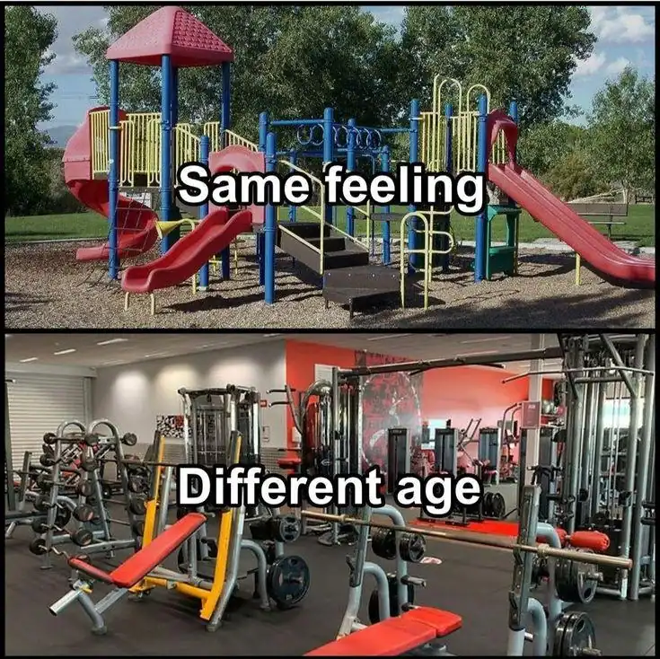 wholesome workout meme comparing a colorful outdoor children's playground to a room full of heavy gym equipment, pointing out that it is the exact same feeling just at a different age in this relatable gym meme.