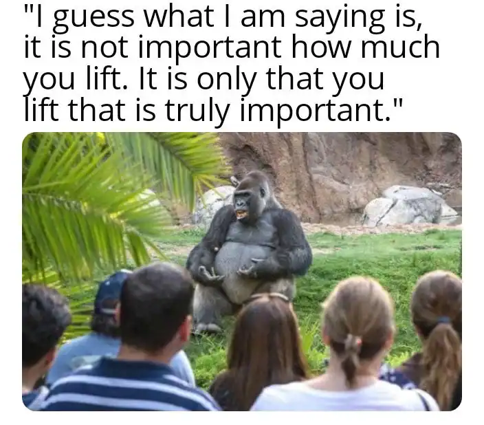 philosophical gym meme showing a silverback gorilla sitting in a zoo enclosure looking like a wise professor, delivering a motivational speech that it is not about how much you lift, but simply that you lift, an inspiring workout meme.
