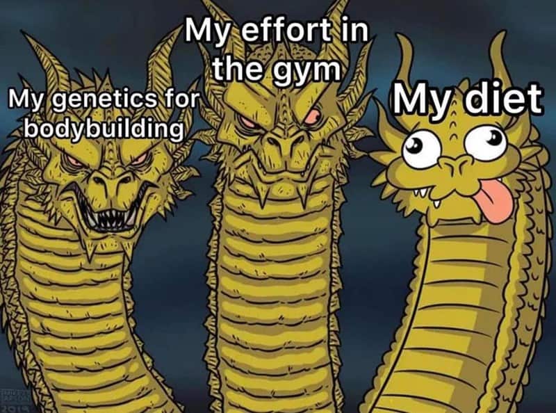 A highly accurate gym meme using the three-headed dragon format to compare fierce effort and strong genetics against an incredibly derpy dragon head representing a terrible daily diet in this classic workout meme.
