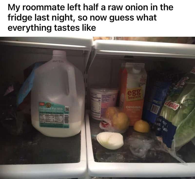flavor-ruining fridge disaster caused by one of the worst roommates. A large, white raw onion sits cut-side down and completely uncovered on a shelf next to a milk jug, guaranteeing that everything else in the fridge now tastes like onion.