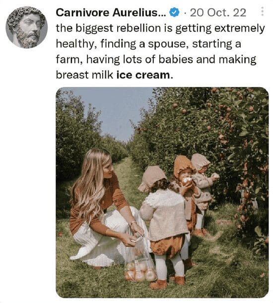 Lifestyle post claiming the biggest rebellion is starting a farm and making breast milk ice cream.