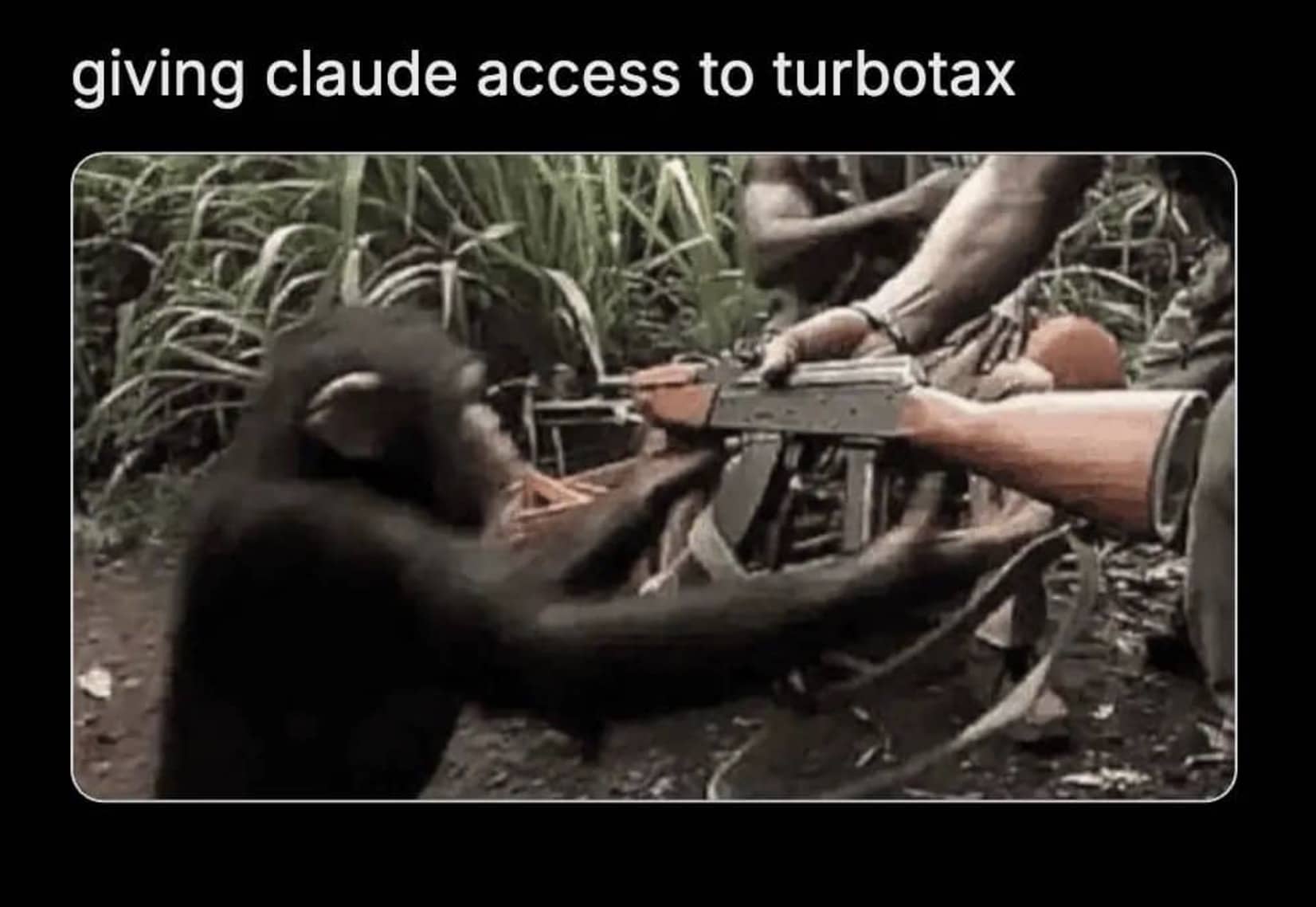 Meme showing a chimpanzee being handed a rifle with text about Claude AI having TurboTax access.