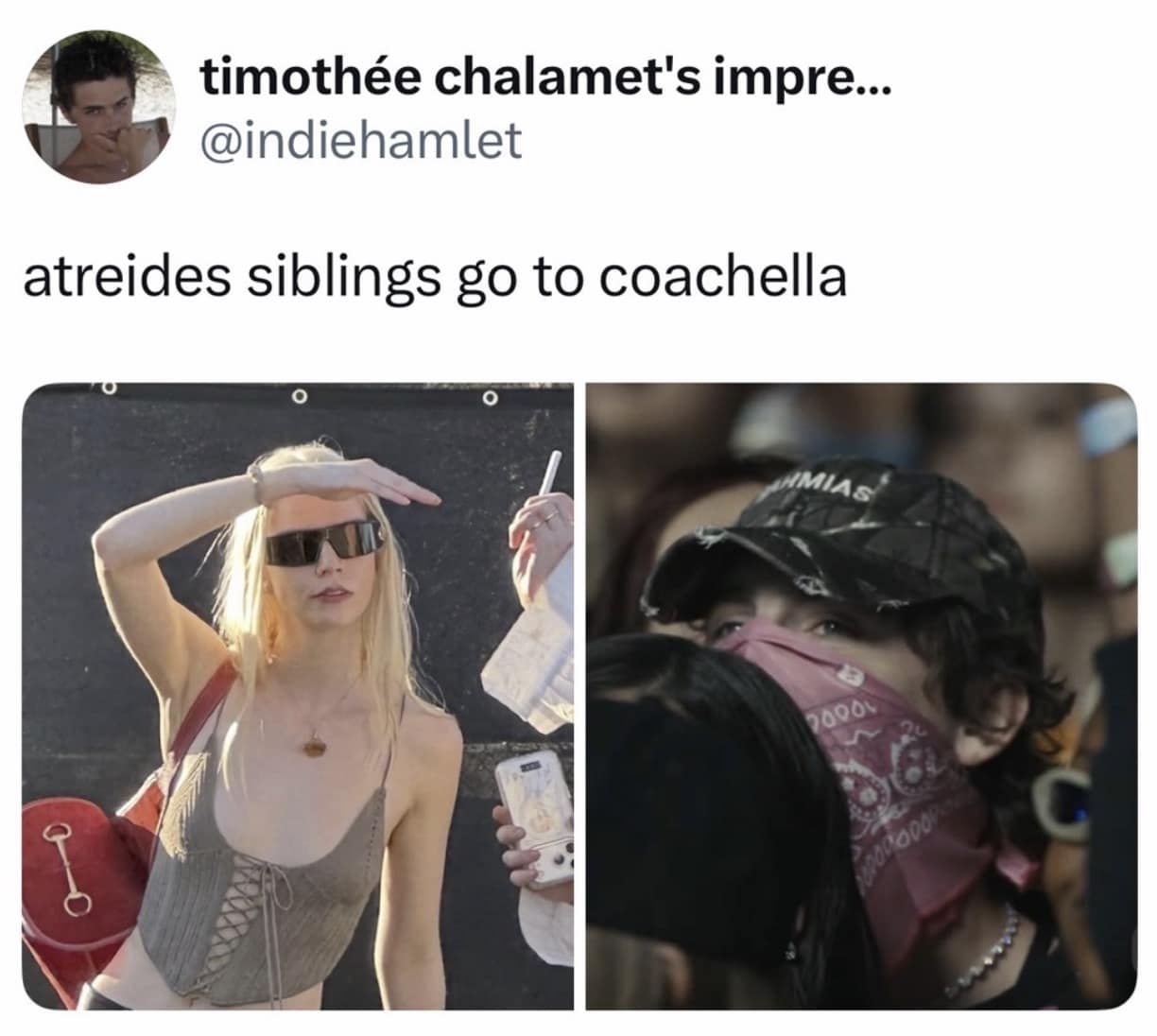 2026 Coachella meme showing a tweet from @indiehamlet with side-by-side photos of Anya Taylor-Joy and Timothée Chalamet at the festival. The text reads "atreides siblings go to coachella," joking that their dusty, masked desert attire perfectly mimics their characters from the Dune franchise.