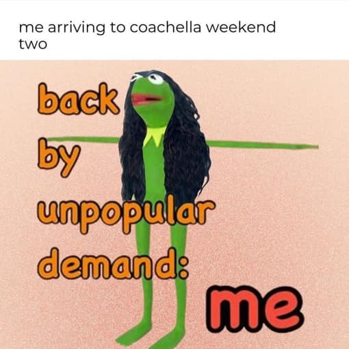 A low-budget 2026 Coachella meme featuring Kermit the Frog in a T-pose wearing a long, wavy black wig. The text reads: "me arriving to coachella weekend two / back by unpopular demand: me."