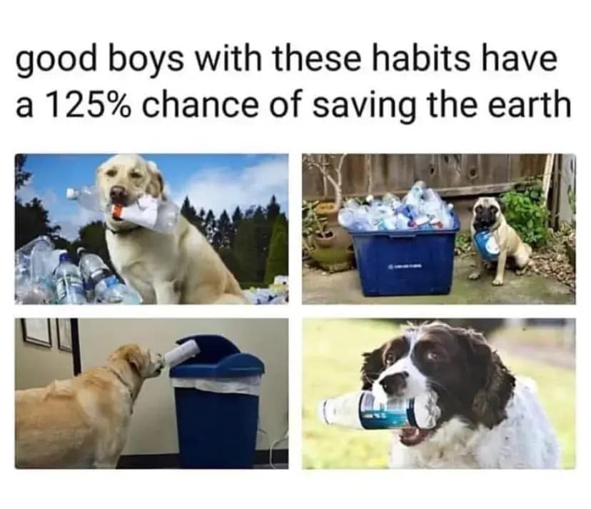 A heartwarming four-panel collage of "good boys"—including a golden Labrador and a pug—carrying plastic water bottles in their mouths. The text celebrates these helpful canine habits, claiming these pups have a 125% chance of saving the world in this 2026 Earth Day meme.