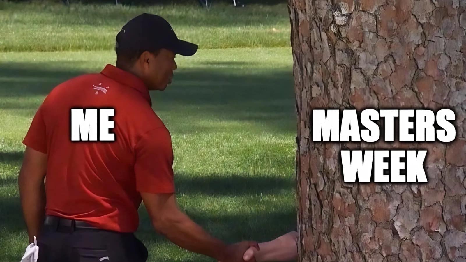 energetic 2026 Masters meme using a photo of Tiger Woods in his signature Sunday red, reaching behind a massive pine tree to enthusiastically shake someone’s hand. Tiger is labeled "ME" and the hand emerging from the tree is labeled "MASTERS WEEK," perfectly illustrating the "long time no see" hype of the season.