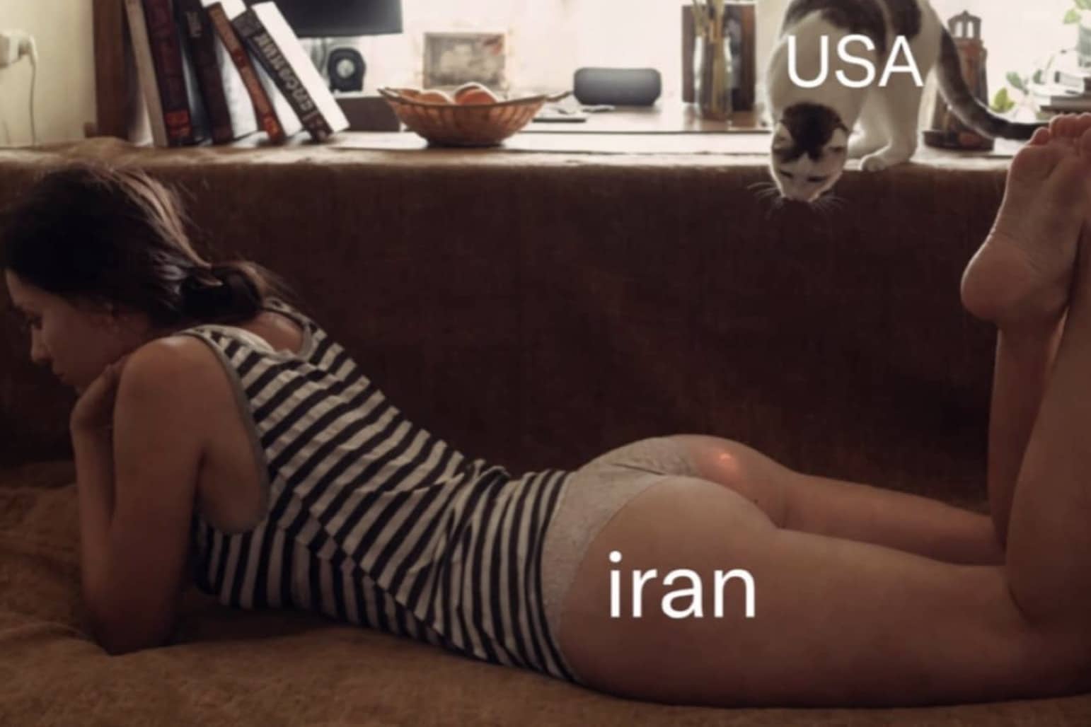 Cat labeled USA watching a red laser pointer on a woman's back labeled Iran.