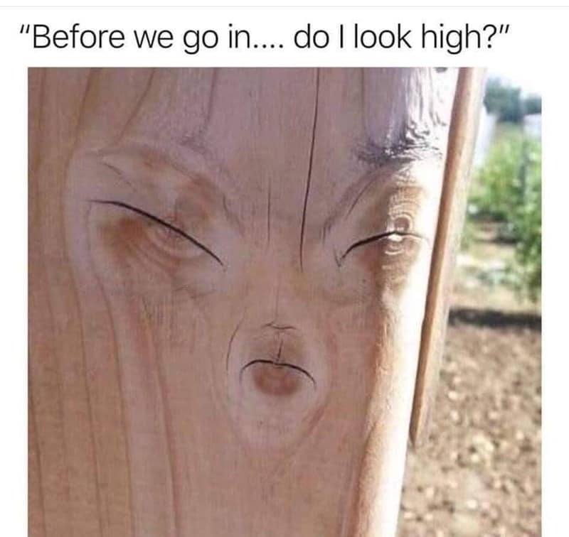Natural wood knots that perfectly resemble a squinting, dazed face provide the visual for this 420 meme. The text jokes about the common pre-event anxiety of asking a friend if you actually look high before entering a public space.