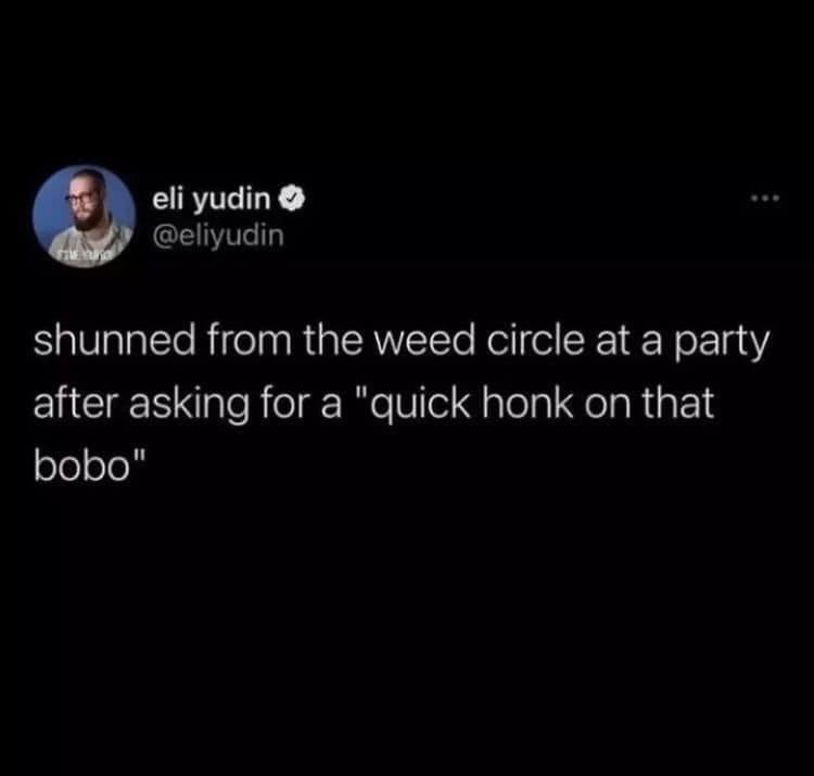 A text post about being socially exiled from a group for using terrible slang serves as this hilarious 420 meme. The poster admits to being shunned after asking for a quick honk on that bobo while standing in a circle at a party.