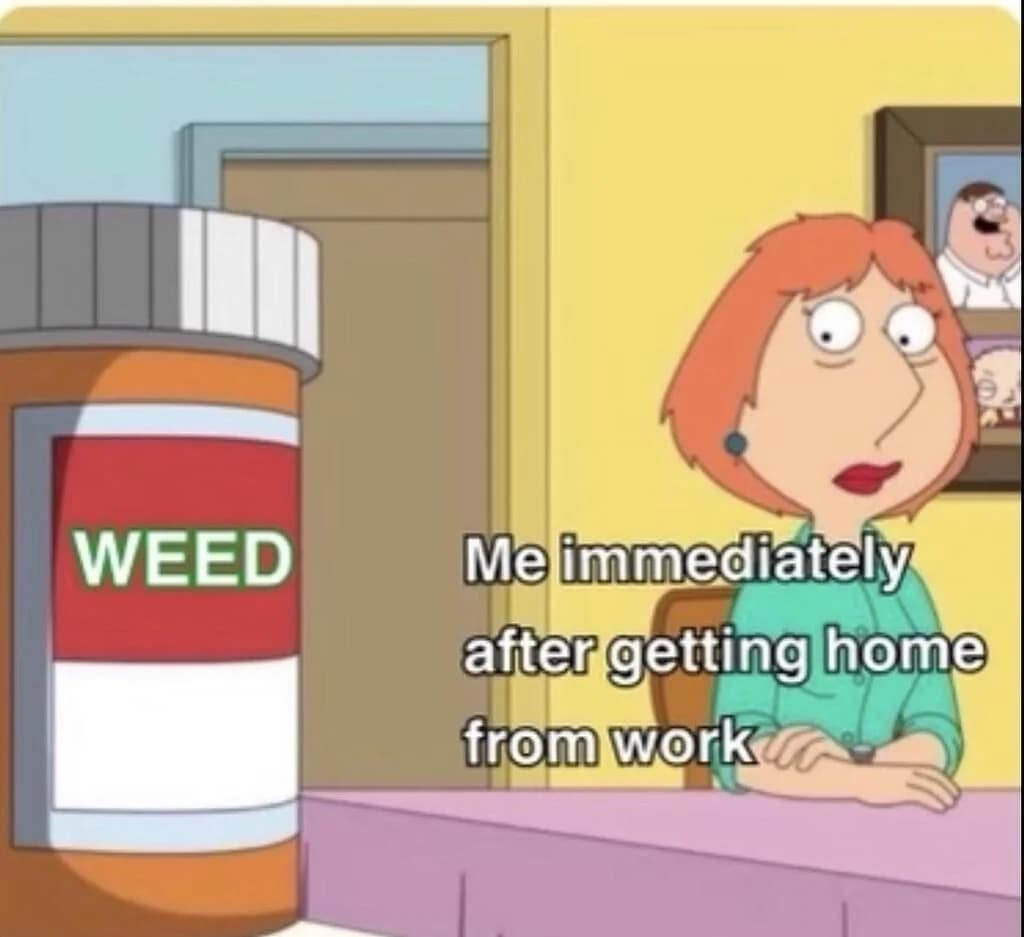 In this 420 meme, Lois Griffin from Family Guy is shown sitting in her kitchen next to a massive prescription bottle simply labeled WEED. It captures the immediate ritual of finding relief the second a person walks through the front door after a long day at the office.